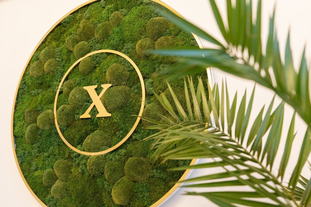 Mechové dekorace na stěnu: kombinace šetrnosti a designu